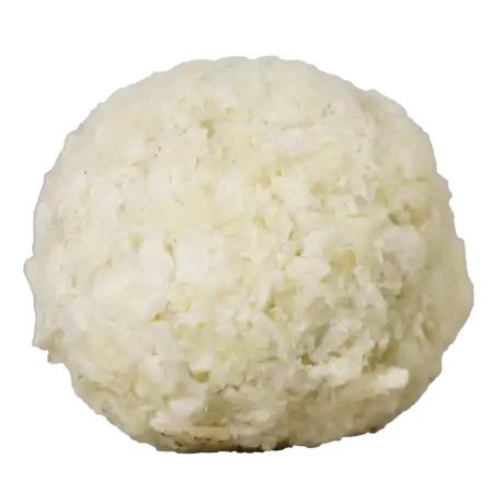 Handgemachte Kokospraline mit Batida de Coco Likör und weißer Schokolade aus Steinhagen